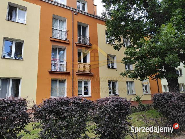 Do wynajęcia mieszkanie 492m2 2pok Grodzisk mazowieckie Grodzisk Mazowiecki