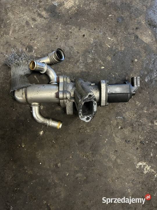 Zawór egr 13 jtd multijet cdti Kęty