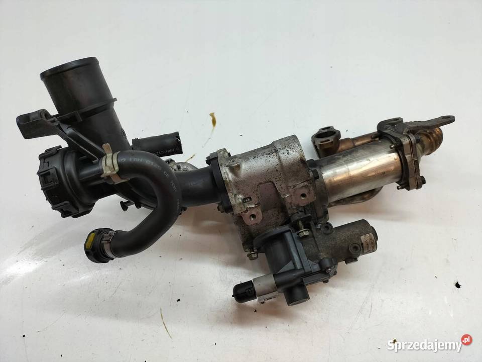 CHŁODNICA SPALIN 8200545260 15 DCI Renault Clio sprzedam