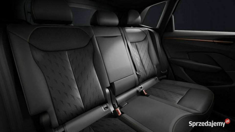 Cupra Terramar VZ 20 TSI 265 DSG 4Drive Łódź