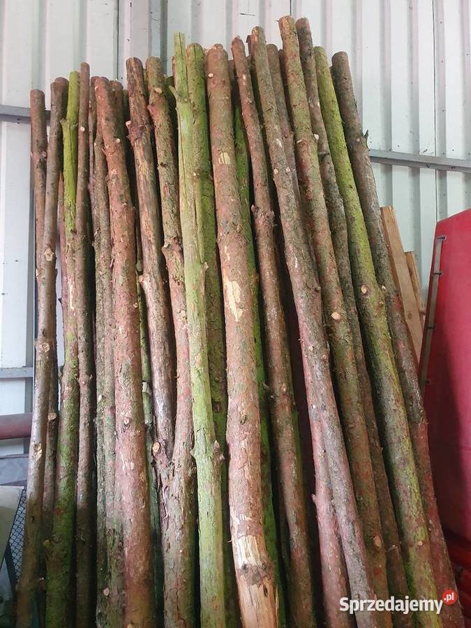 Stemple kołki słupki żerdzie Drewno konstrukcyjne Ryki