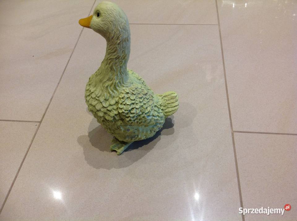 Żółta Gęś Kaczka Kaczuszka Nowa Sól