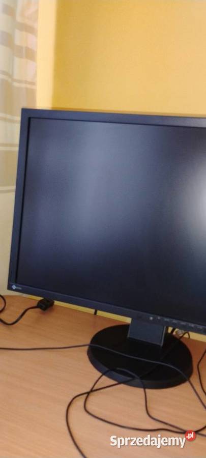 Profesjonalny Monitor Graficzny LED EiZO Łódź sprzedam