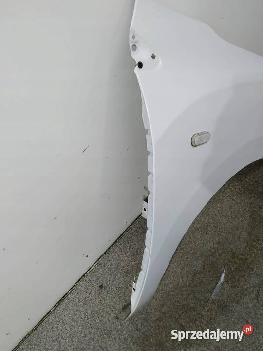 BŁOTNIK PRAWY PRZÓD D389 Dacia Dokker I 2012 osobowe świętokrzyskie