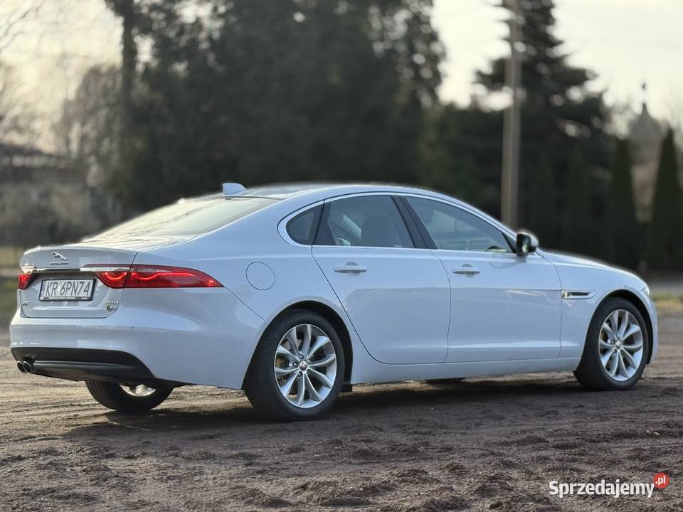 Biały Jaguar XF 2016 wyjątkowy egzemplarz 180KM XF Rybnik