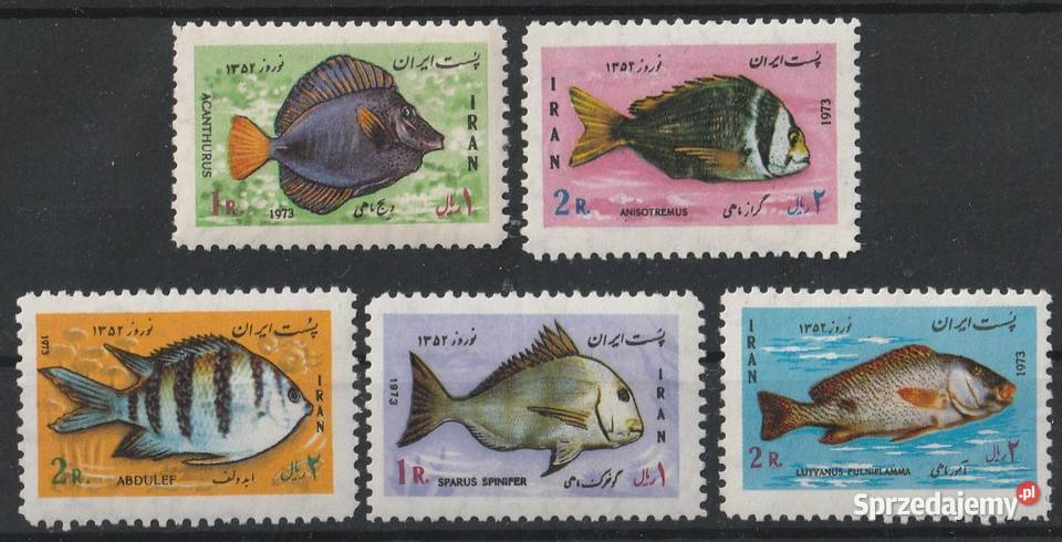 IRAN RYBY 1973 CZYSTE Łódź
