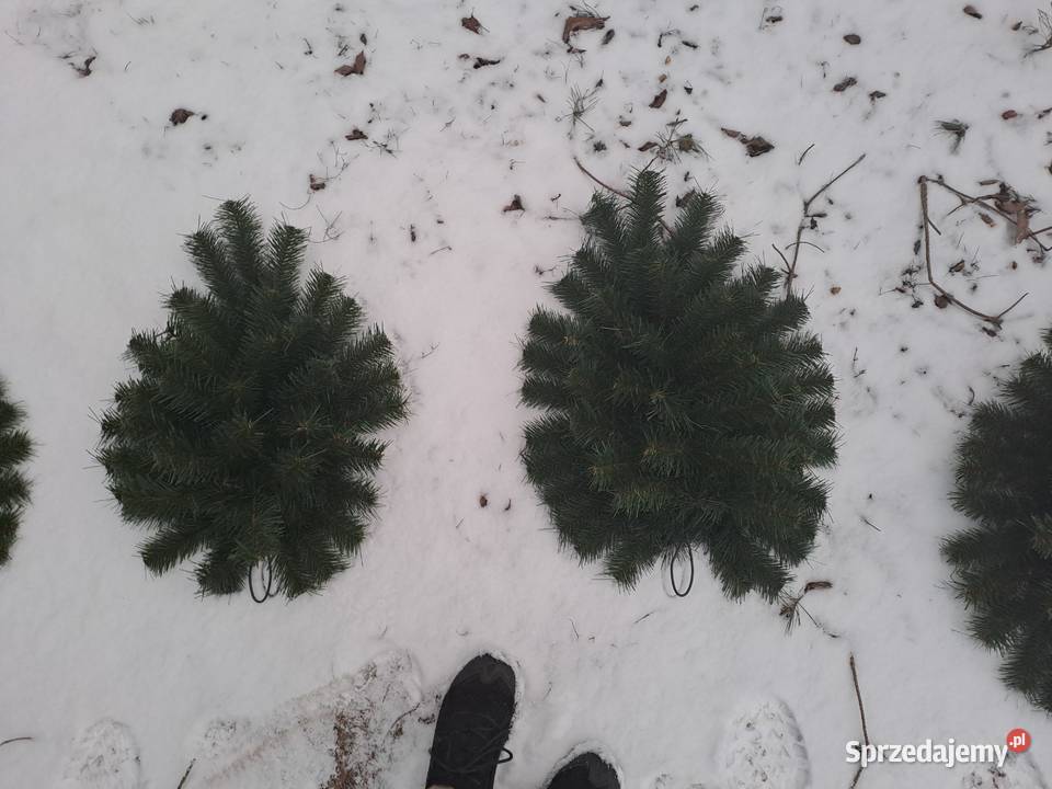 podkłady sztuczne pod wieńce wiązanki stroiki Sierpc