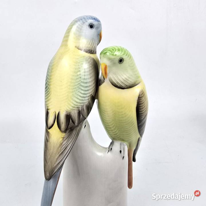 Papużki faliste zielone Hollohaza papugi Węgry mazowieckie