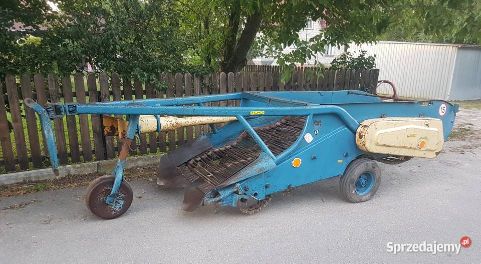 Kopaczka do ziemniaków Elewatorowa 2rzędowa w Dąbrowa Tarnowska sprzedam