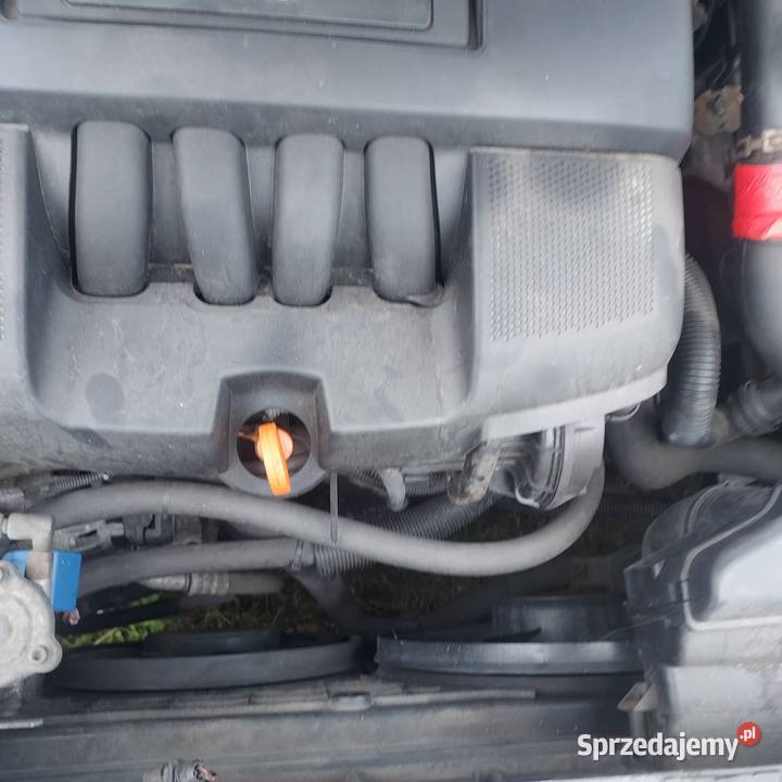 Skoda octavia łódzkie Ozorków sprzedam