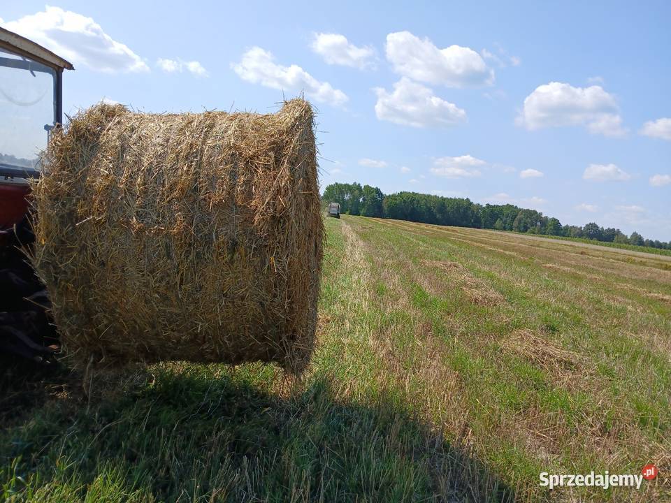 Sprzedam slome Uhnin
