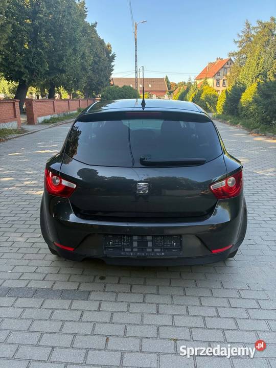 Seat Ibiza 2010 Motoryzacja Witaszyce