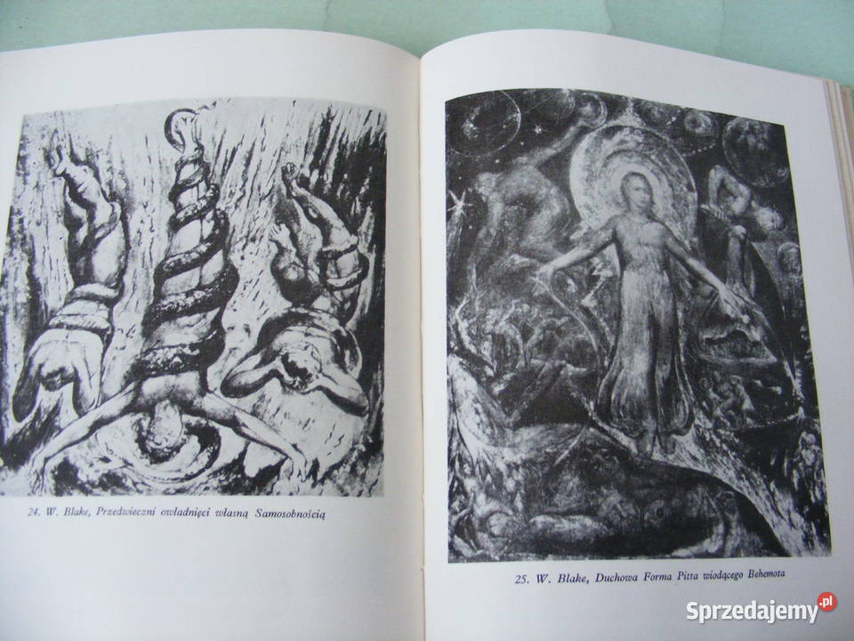 Dzieje sztuki polskiej Fakty i wyobraźnia Jan sprzedam