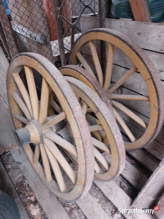 Kola do bryczki konnej Augustów