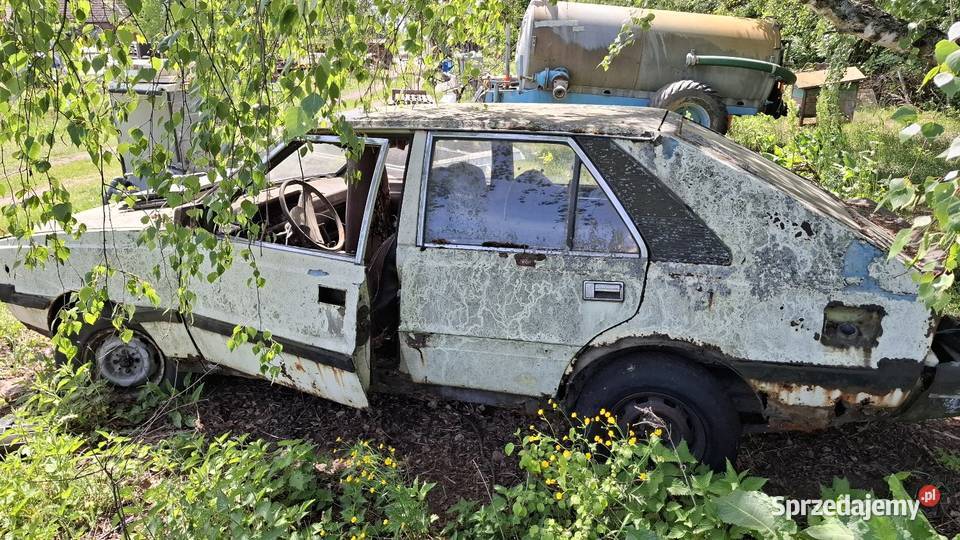 Polonez Borewicz Sadowne sprzedam