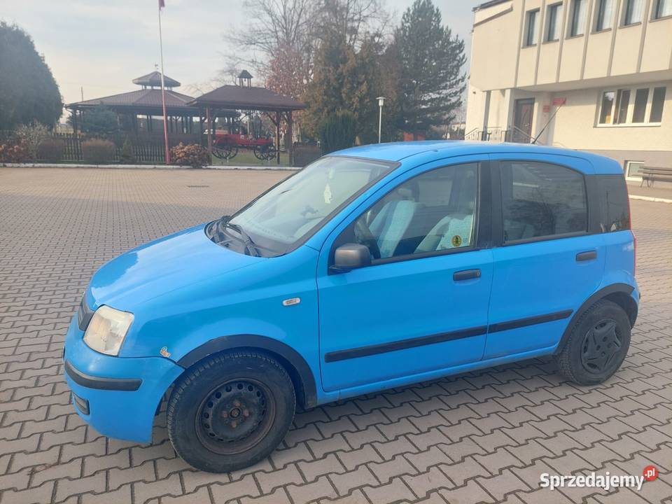 Panda 11 śląskie Pszczyna