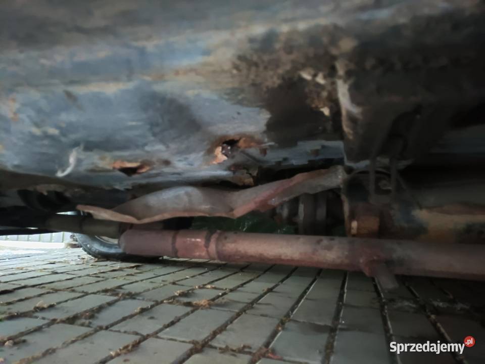 Fiat Panda 141 Łąka