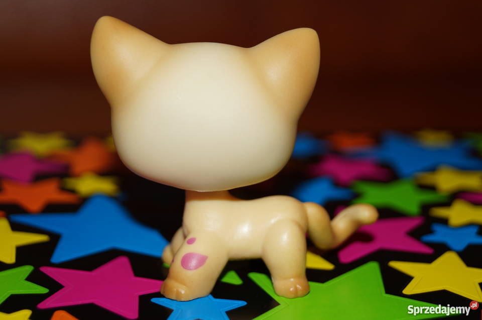 LPS shorthair UNIKAT 816 Littlest Pet Shop kot