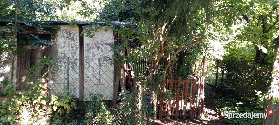 Mieszkanie 43 m 2 piwnica ogród garaż Dom i Ogród