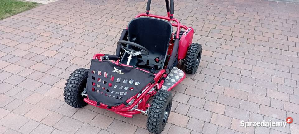 Buggy nieuszkodzony Dzierzbin