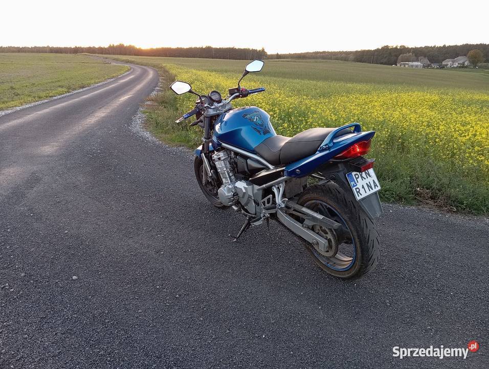 Suzuki GSF 650 Kat A2 Świnki