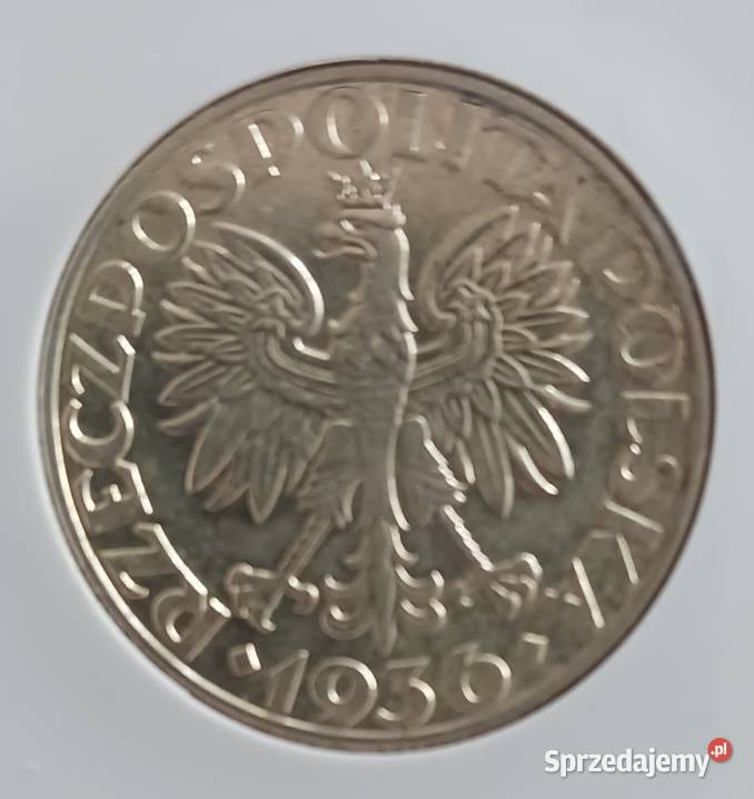 5 Żaglowiec 1936 r około mennicze AU55 GCNEEC Konin sprzedam