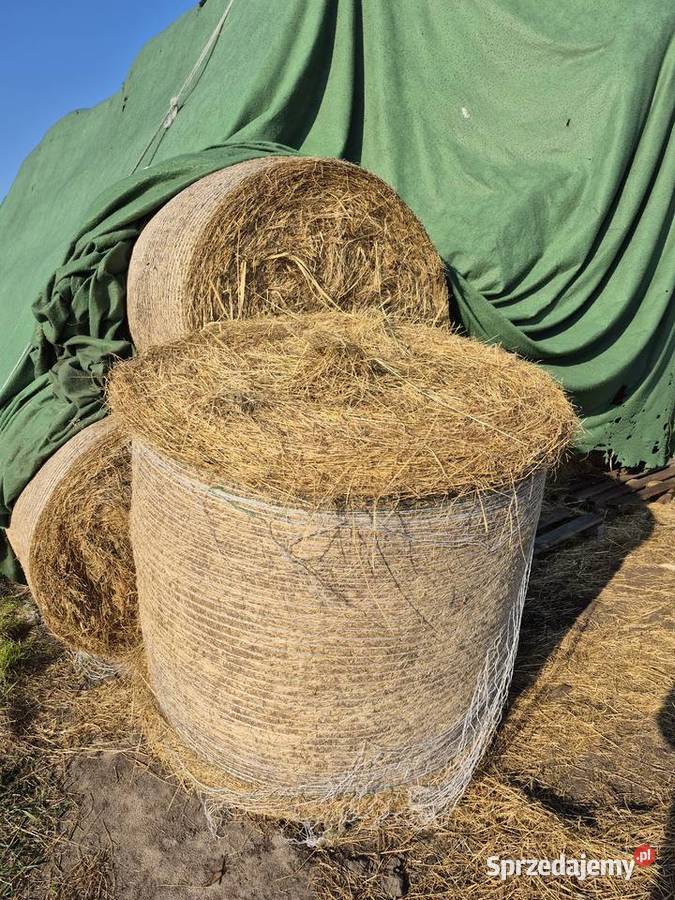 Sprzedam siano 120x120 lubuskie Jeniniec