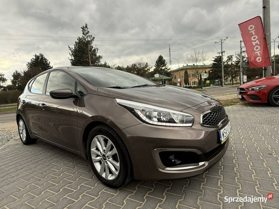 Kia Ceed Kia Ceed 16b Lift 2017r LED benzyna mazowieckie Sokołów Podlaski