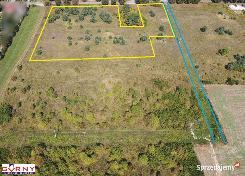 Działka 9871m2 Sulejów Sprzedaż