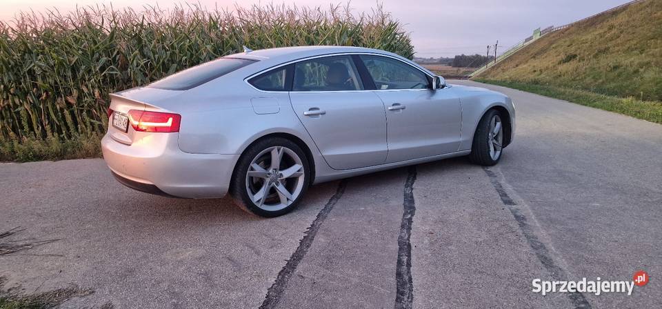 Audi A5 Sportback 2012 r niski przebieg zadbana 177KM podkarpackie Rzeszów
