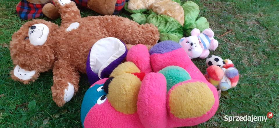 Maskotkizabawki do zszycianaprawy zwierzątpsów6 kujawsko-pomorskie Tuszkowo