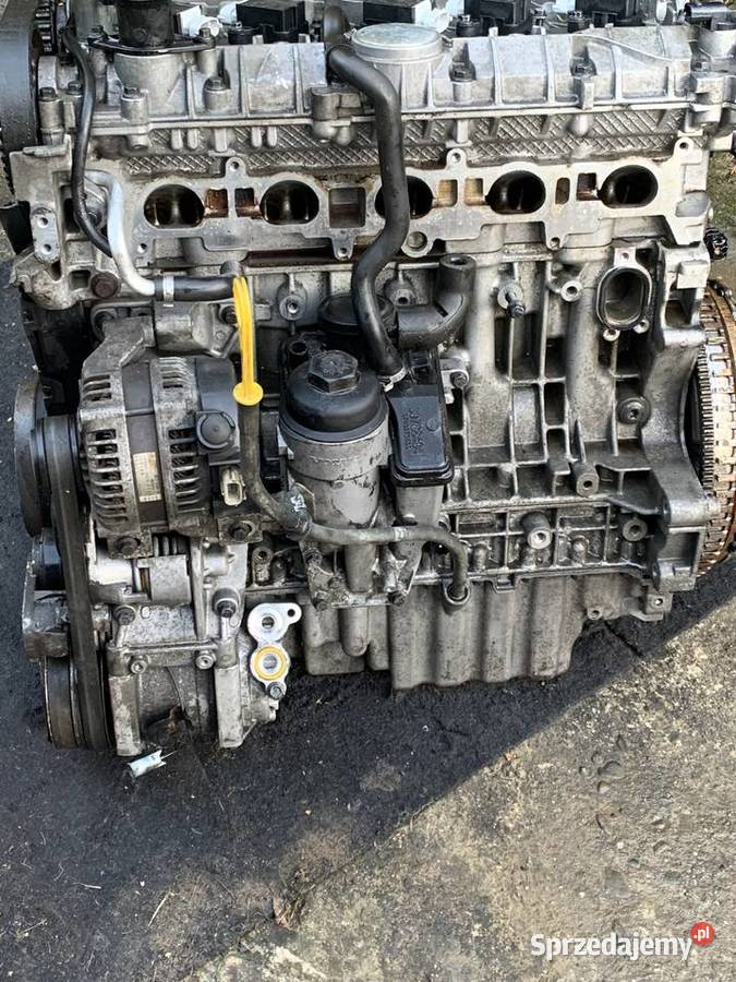 Silnik kompletny Ford Focus St mk2 HYDA podkarpackie Dębowiec