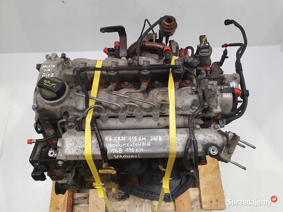 SILNIK D4FB Kia Ceed Ceed Venga 16 CRDI 115 osobowe lubelskie Rudka