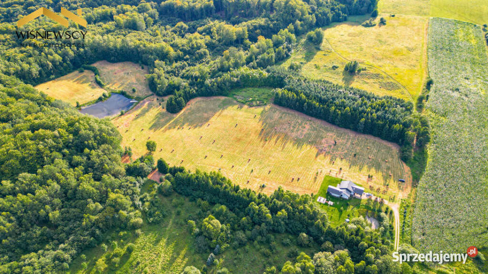 Rogowo 29 ha ze stawem i działką pod dom Sprzedaż