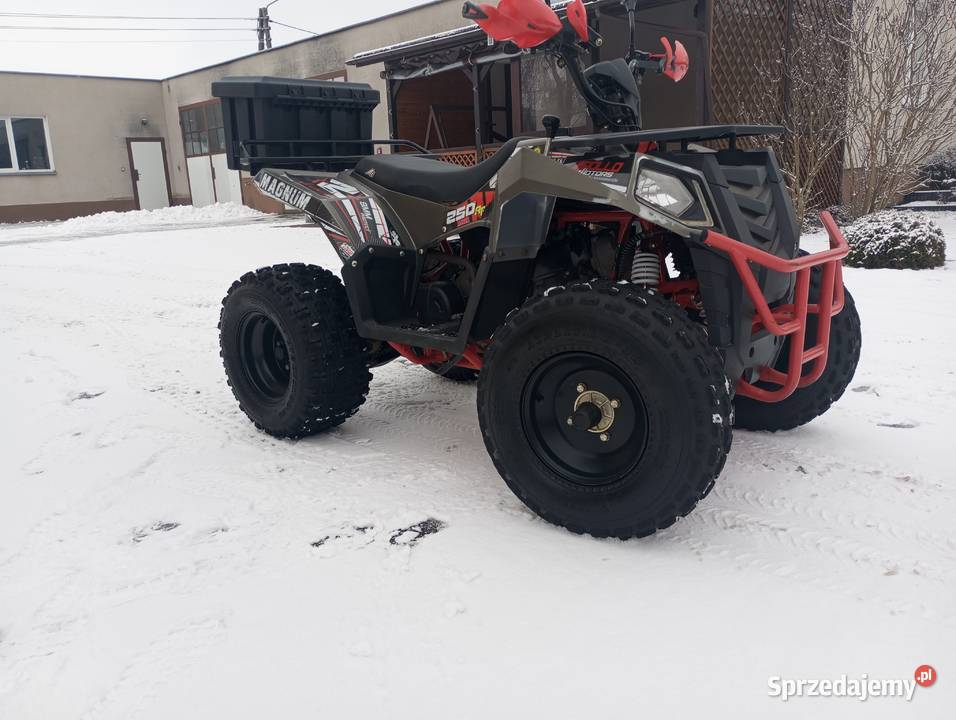 Quad Apollo magnum 250 Skoki sprzedam