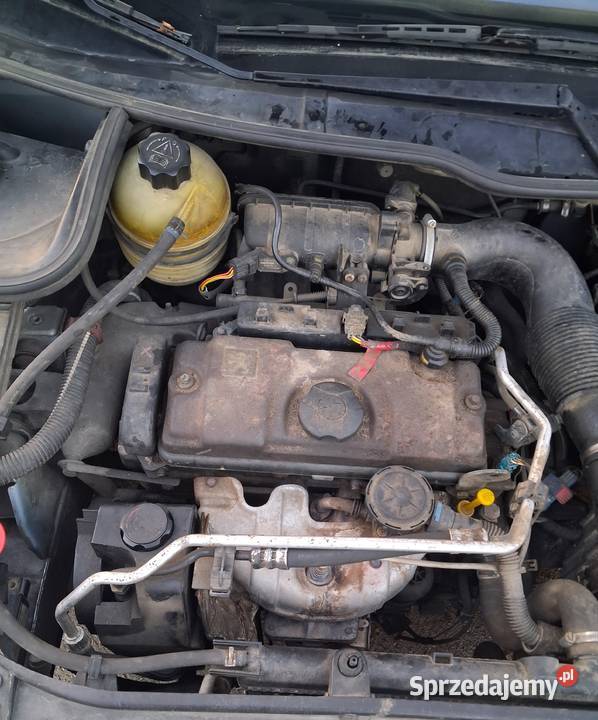 Peugot 206 Bidziny