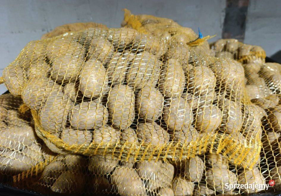 Sprzedam roczne ziemniaki Riviera i Colomba Opatkowice sprzedam