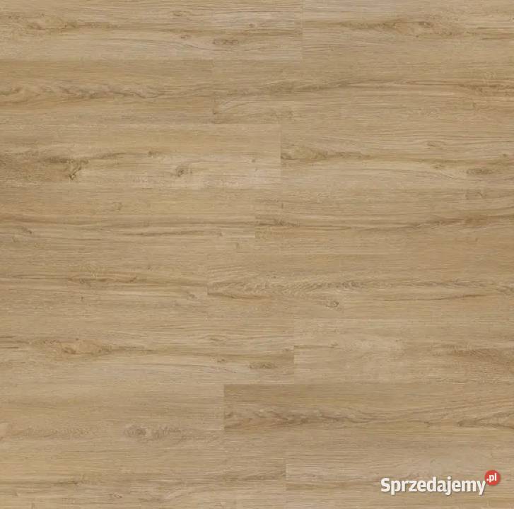 Panel Winylowy SPC PACIFIC OAK 182x122 4mm Warszawa