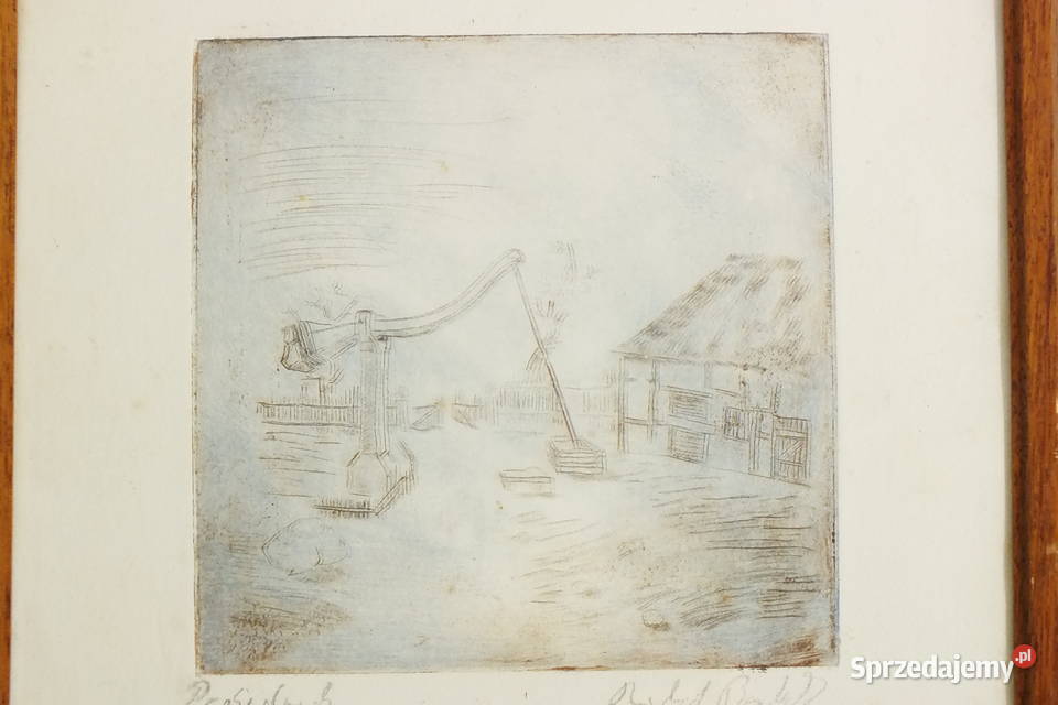 Żuraw grafika kolorowana