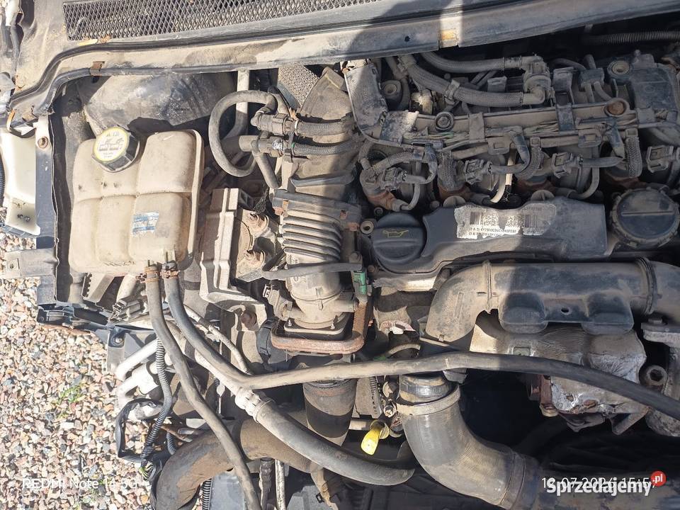 Ford focus 16 TDCi Rok produkcji 2005 Piotrków Kujawski