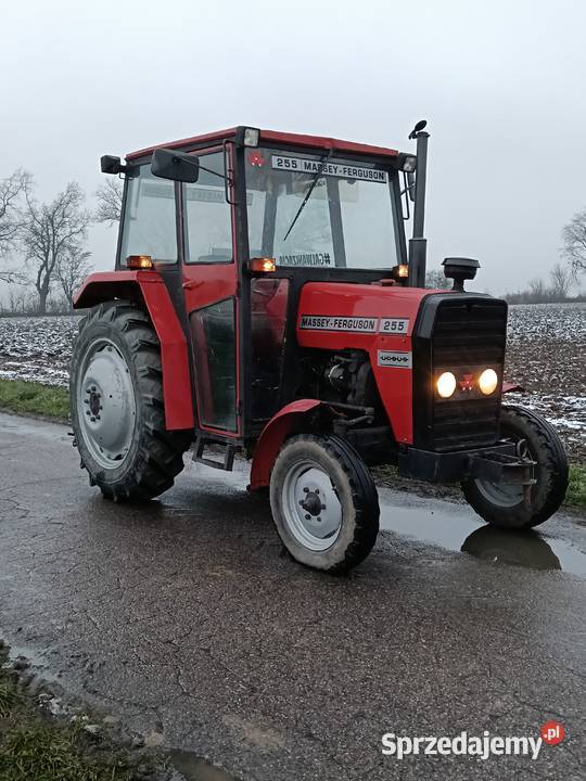 Massey Ferguson 255 Szczawin Kościelny
