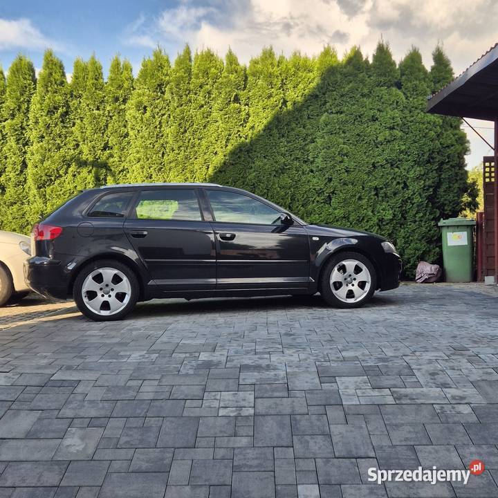 Sprzedam Audi A3 8p 16 MPI z LPG mazowieckie Mała Wieś