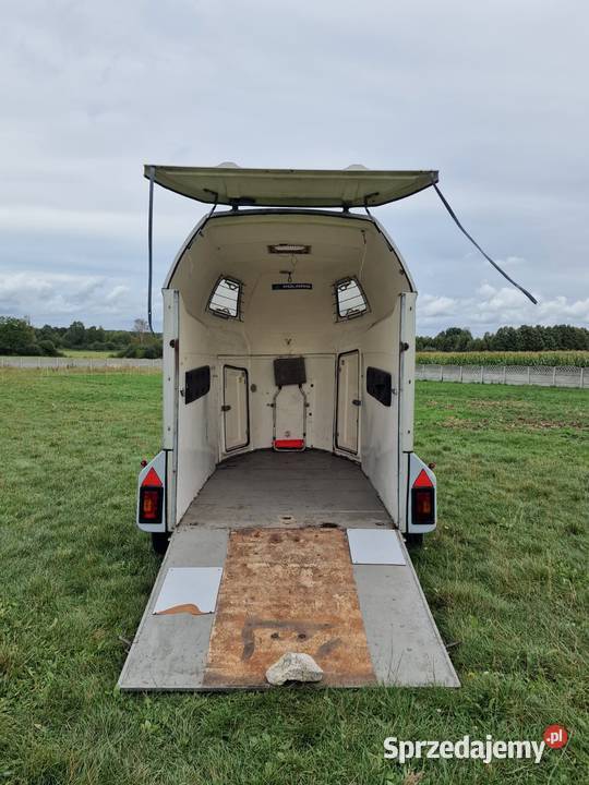 Przyczepa do przewozu koni SLUIS Olymp Piekoszów