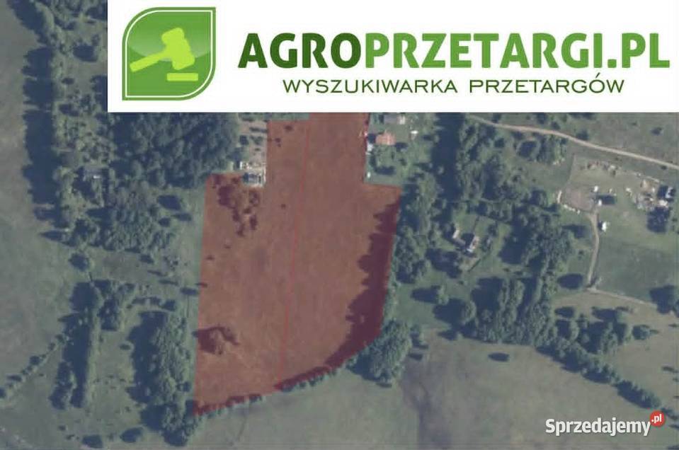 Dzierżawa 544 ha gruntu rolnego Wynajem zachodniopomorskie Kamień Pomorski