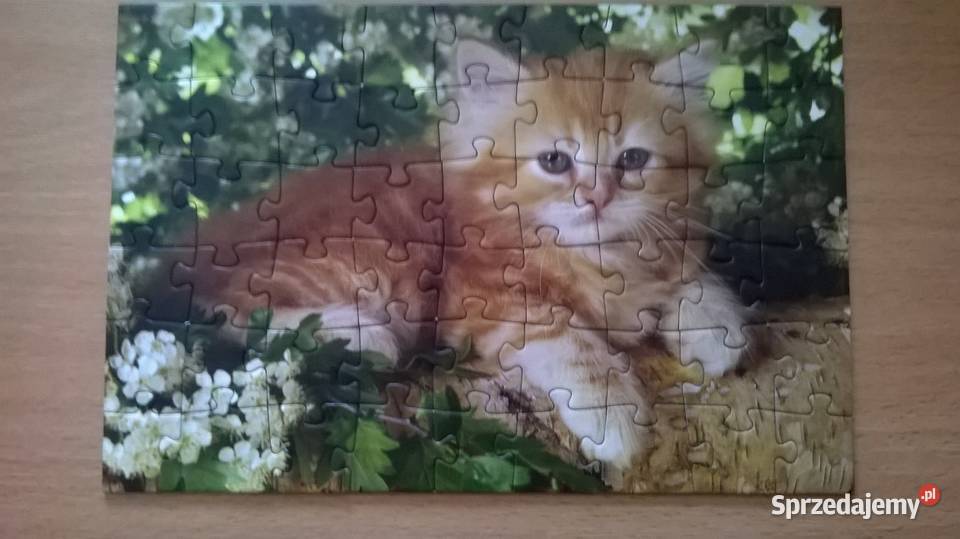 PUZZLE Trefl mini 54 elementyKFC King Julien 25 Gliwice