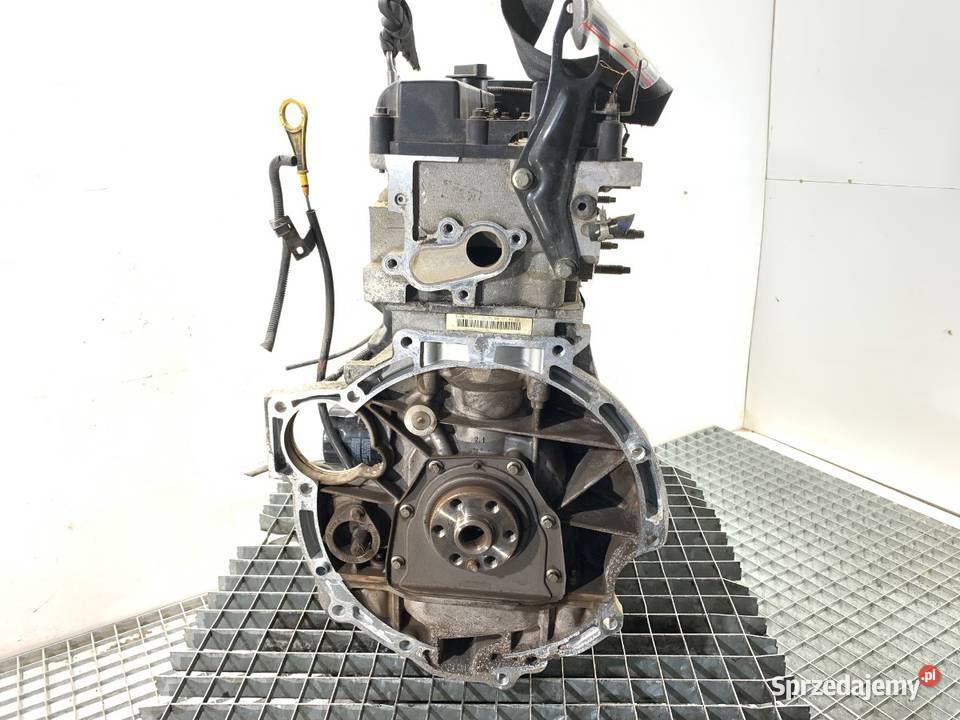 SILNIK FORD 12 60 SNJA FIESTA MK7 podkarpackie