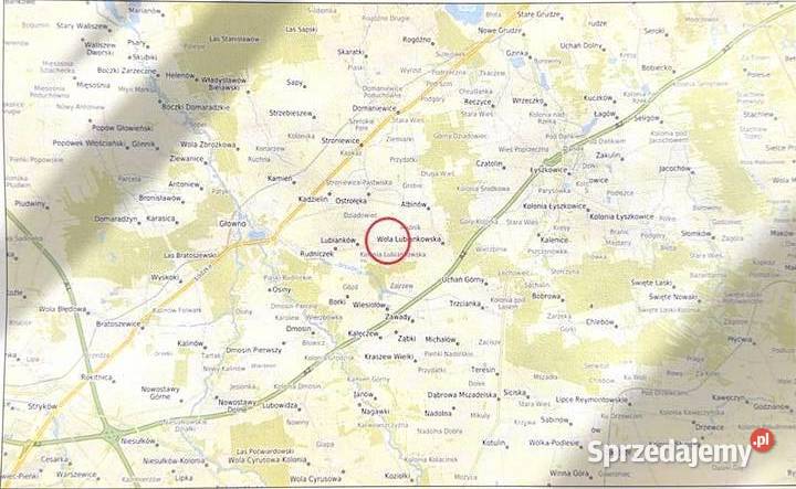 SYNDYK SPRZEDA DZIAŁKĘ Lubianków