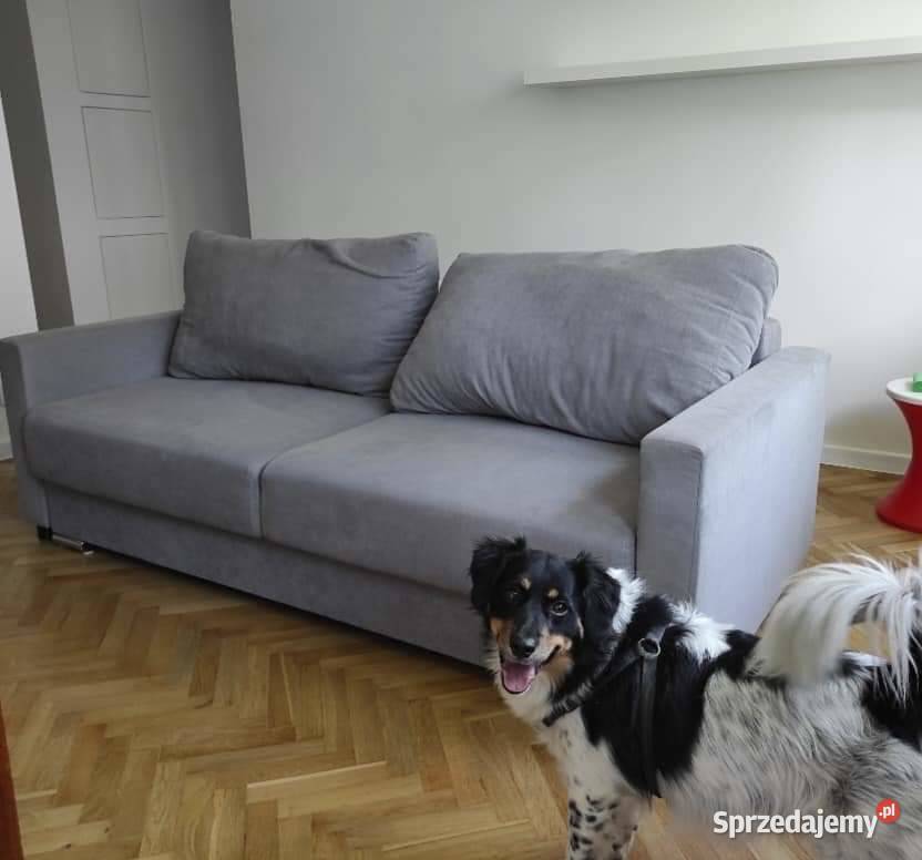 Sprzedam szarą rozkładaną kanapę z 2 poduszkami Łódź