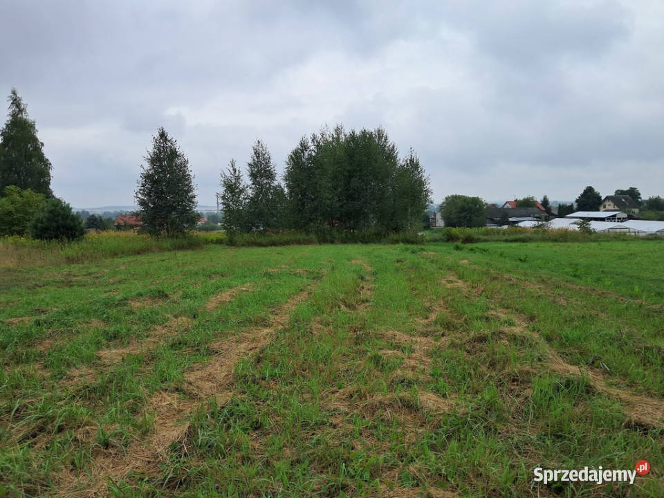 Opole Lubelskie 124 ha malownicza okolica asfalt