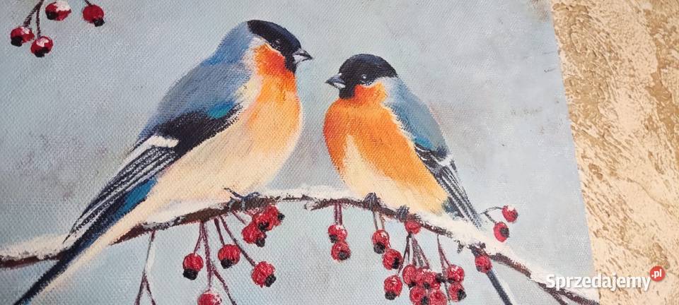 Zimowe śniadanie obraz 25x30 akryl na płótnie Poznań sprzedam